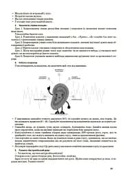 Я досліджую світ. 1 клас. І семестр (за підручником Т. Г. Гільберг, С. С. Тарнавської, Н. М. Павич) - мініатюра 6