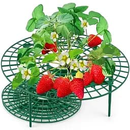 Підставка під полуницю| тримач для кущотримача (комплект 5 шт.)