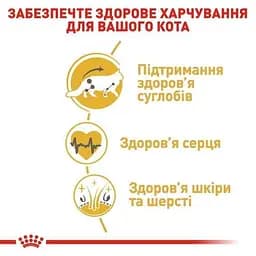 Сухий корм для дорослих котів мейн-кун Royal Canin Maine Coon Adult, з м'ясом птиці, 2 кг - мініатюра 2