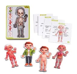 Сортер-пазл деревянный Анатомия человека Мальчик Ubee ПСФ026