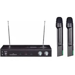 Радіосистема з двома ручними мікрофонами BIG V219