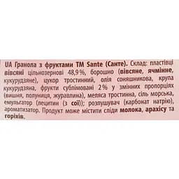 Гранола Sante З журавлиною й полуницею 350 г (658824) - мініатюра 3