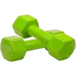 Гантелі для фітнесу Newt Vinyl NE-VIN-3 2 шт. по 3 кг