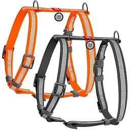 Шлея для собак Waudog Waterproof водостійка анатомічна Н-подібна з QR-паспортом, світловідбивна, пластикова пряжка-фастекс, XL - мініатюра 3