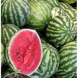 Насіння Весна на вагу Кавун Цукровий велетень ціна за 5 г (35703)