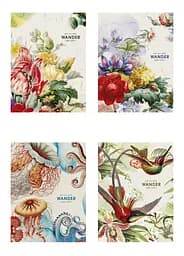 Комплект 4 шт общих тетрадей. Тетрадь Школярик А5 48 л. в клетку 5083 4823088230031