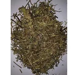 Гісоп Трава Hyssopus officinalis