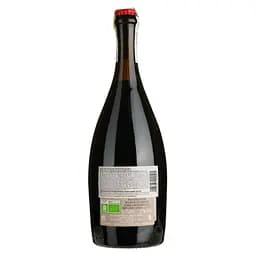 Вино ігристе Puianello Ancestrale Lambrusco dell'Emilia IGP Organic червоне сухе 0.75 л - мініатюра 2