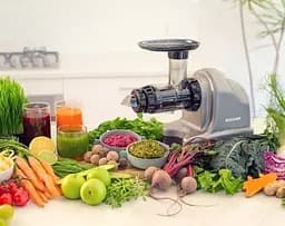 Соковитискач BioChef Axis Cold Press Juicer срібло - мініатюра 5