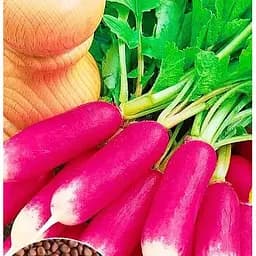 Семена Весна Редис Базис Большой пакет 7 г (32683)