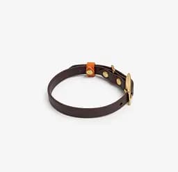 Біотановий нашийник для собак "BioThane Beta" XS темно-коричневий з помаранчевим (обхват шиї 25-30см) - мініатюра 2