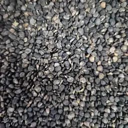 100 г дурман семена сушеные