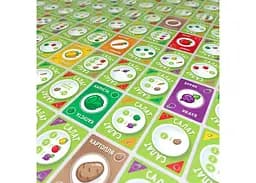 Настільна гра Igames Салат. Рецепт успіху (Point Salad) (укр.) (2004) - мініатюра 4