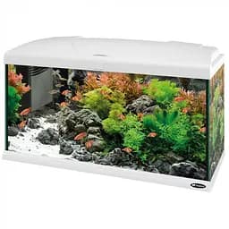 Аквариум Ferplast CAPRI 80 WHITE - 100 L 80 x 31.5 x h 46.5 cm