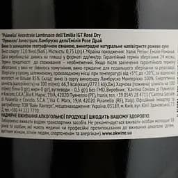 Вино ігристе Puianello Ancestrale Lambrusco dell'Emilia IGT рожеве сухе 0.75 л - мініатюра 4