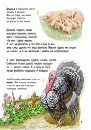 Енциклопедія дошкільника (нова) Видавництво Ранок Тварини - мініатюра 6
