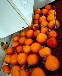 Саджанець Agro-Market Хурма на віргінській морозостійкій підщепі Гора Говерла вищий сорт! (26244) 1 шт. в упаковці - мініатюра 4