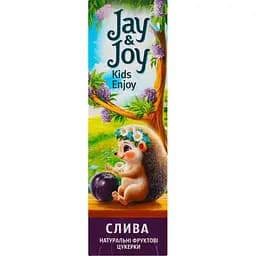 Конфеты фруктовые Jay&Joy Слива 32 г