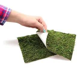 Фон з натурального моху Repti-Zoo Natural Moss Back & Bottom 20x20см 2 шт (NCM2020) для тераріуму