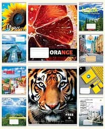 Тетради ученические 60 листов клетка Твердая ТЕ41604 Микс 4, 10 шт. в упаковке