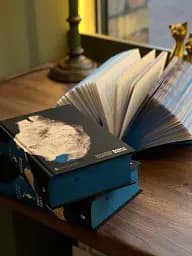 Книга Еміля - мініатюра 5