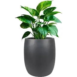 Кашпо Engard Сондрио 37х40 см (GA09-1)