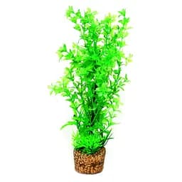 Штучна рослина Hobby Flora Stone 6 25 см (51535)