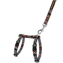 Шлея для котів та собак дрібних порід BronzeDog Urban Гуцульська з нашивкою та повідцем XS 18-27 см ментол