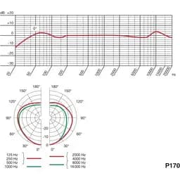 Мікрофон AKG P170 (3101H00410) - мініатюра 3