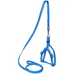 Шлея для собак с поводком Dog Extremе, регулируемая, нейлон, 40-55х1,5/115 см, голубой (7032)