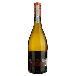 Вино ігристе Cielo Prosecco Frizzante DOC, біле, сухе, 0,75 л - мініатюра 2