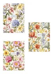 Комплект 3 шт общих тетрадей. Тетрадь Школярик А4 40 л. в линию 5230 4823088233230