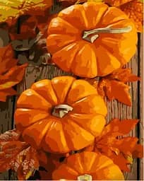 Набір для розпису по номерах Помаранчеві гарбузи, Strateg, 30x40 см, SS6782