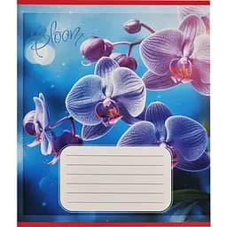 Зошит учнівський "Орхідеї" Leader 018-530261K-3 в клітинку, 18 аркушів