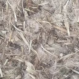 100 г артишок настоящий трава сушеная - свежий урожай