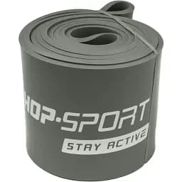 Резинка для фітнесу Hop-Sport 55-137кг HS-L101RR сіра - мініатюра 7