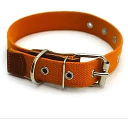 Нашийник для собак Zoo-hunt брезентовий 2,5 см 24-44 см помаранчевий
