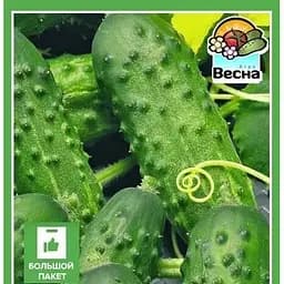 Семена Весна Огурец Голубчик F1 Большой пакет 1.5 г (32483)
