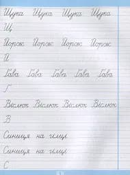 Тренажер для списування речень і текстів. Широка лінійка - мініатюра 6