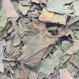 100 г гинкго билоба лист сушеный - свежий урожай