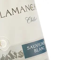 Вино Talamanca Sauvignon Blanc DO, біле, сухе, 0,75 л - мініатюра 3