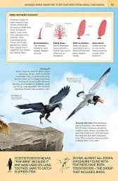 1000 Amazing Dinosaur Facts - мініатюра 3