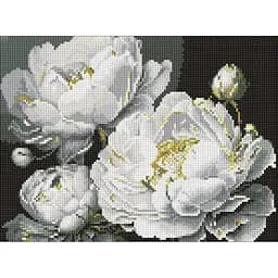 Алмазна мозаїка Бездоганна краса AMO8169, 30x40 см