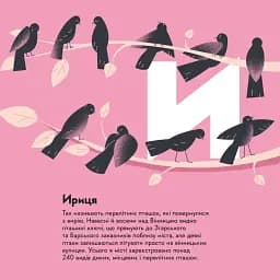 Вінниця - мініатюра 11