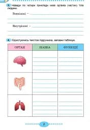 Я досліджую світ 3 клас. Зошит-практикум у 2-х частинах. Частина 2 - мініатюра 4