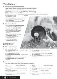New Close-Up B1. Workbook - мініатюра 3