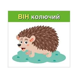 Навчальні картки "Вивчаємо займенники ОН,ОНА,ВОНО,ВОНИ" Ранок 10109168, 15 карток - мініатюра 3