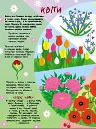 Таємне життя рослин - мініатюра 4