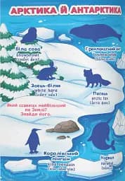 Велика книжка. Розвивальні наліпки. Розумні завдання. Дикі тварини - мініатюра 2