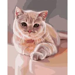 Картина по номерам Ideyka Любимый пушистик ©Юлия Томеско KHO4489 40х50 см